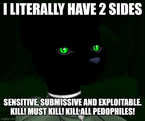 My new panther fursona | I LITERALLY HAVE 2 SIDES; SENSITIVE, SUBMISSIVE AND EXPLOITABLE.
KILL! MUST KILL! KILL ALL PEDOPHILES! | image tagged in my new panther fursona | made w/ Imgflip meme maker