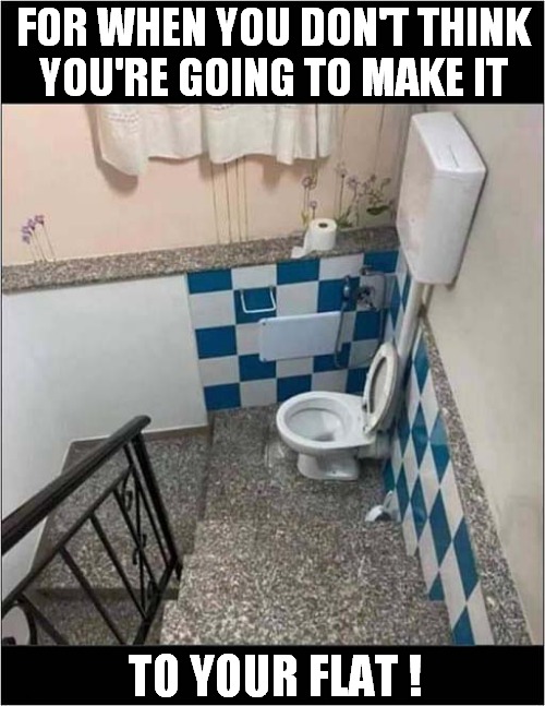 A Very Public Toilet ! | FOR WHEN YOU DON'T THINK
 YOU'RE GOING TO MAKE IT; TO YOUR FLAT ! | image tagged in fun,toilet,desperation | made w/ Imgflip meme maker