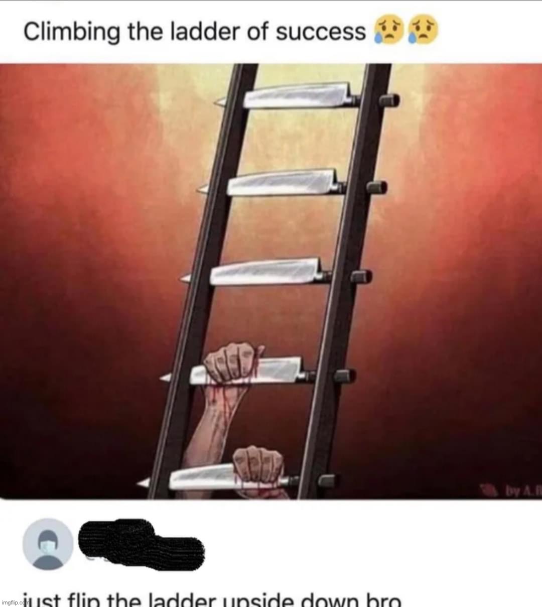 Ladder of success | image tagged in ladder of success | made w/ Imgflip meme maker