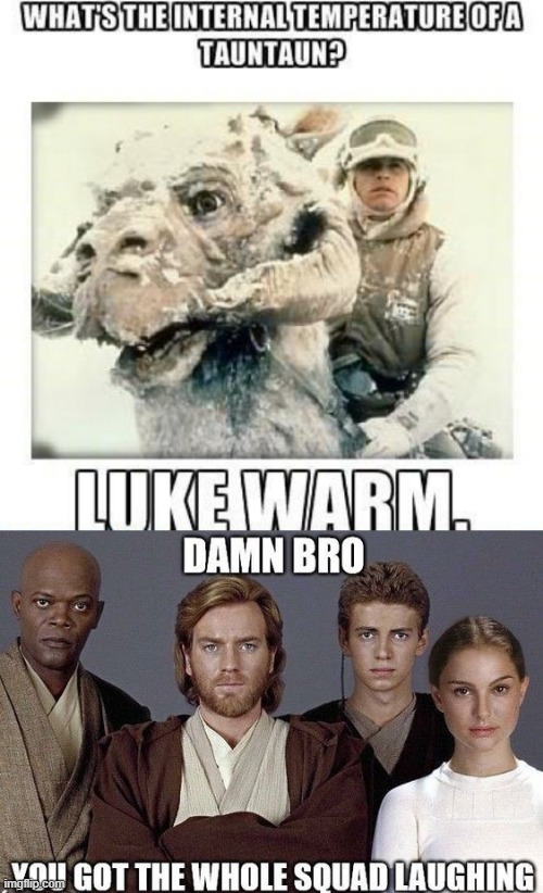 Bad Luke Pun | image tagged in star wars | made w/ Imgflip meme maker