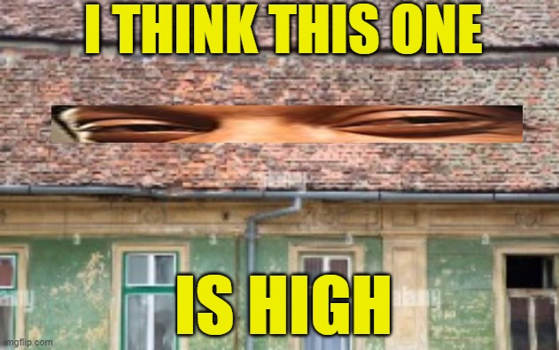 I THINK THIS ONE IS HIGH | made w/ Imgflip meme maker