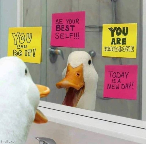 Wholesome Duck! | image tagged in memes,unfunny | made w/ Imgflip meme maker