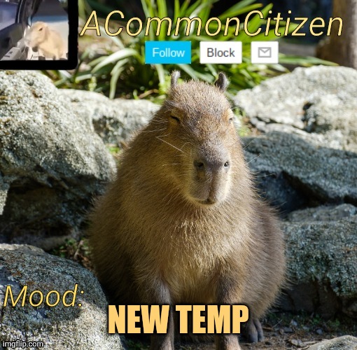 New announcement template | NEW TEMP | image tagged in common citizen | made w/ Imgflip meme maker