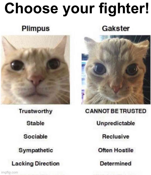 who you picking? | Choose your fighter! | image tagged in memes,unfunny | made w/ Imgflip meme maker