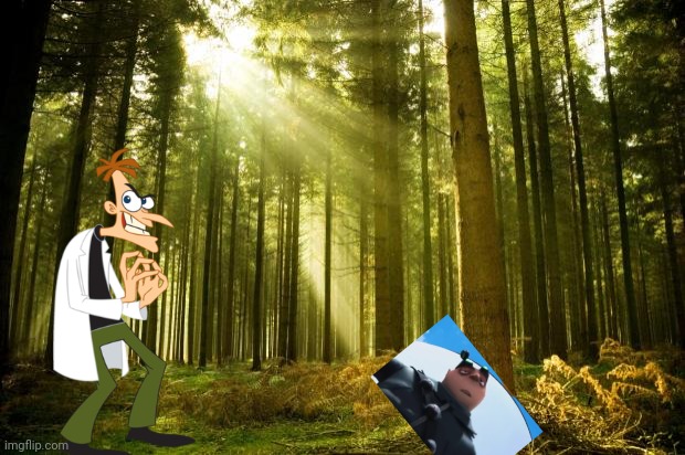 sunlit forest | image tagged in sunlit forest | made w/ Imgflip meme maker