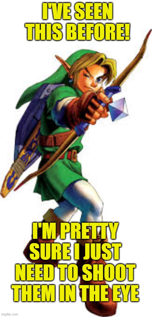 Link | I'VE SEEN THIS BEFORE! I'M PRETTY SURE I JUST NEED TO SHOOT THEM IN THE EYE | image tagged in link | made w/ Imgflip meme maker