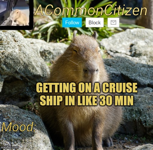 GETTING ON A CRUISE SHIP IN LIKE 30 MIN | image tagged in common citizen | made w/ Imgflip meme maker