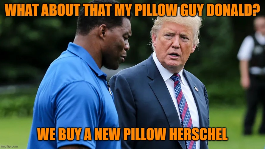 Herschel Walker Trump | WHAT ABOUT THAT MY PILLOW GUY DONALD? WE BUY A NEW PILLOW HERSCHEL | image tagged in herschel walker trump | made w/ Imgflip meme maker
