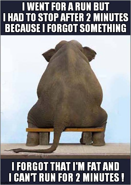 Know Your Limitations ! (Based On A True Story) | I WENT FOR A RUN BUT I HAD TO STOP AFTER 2 MINUTES BECAUSE I FORGOT SOMETHING; I FORGOT THAT I'M FAT AND
 I CAN'T RUN FOR 2 MINUTES ! | image tagged in elephant,running,fat | made w/ Imgflip meme maker