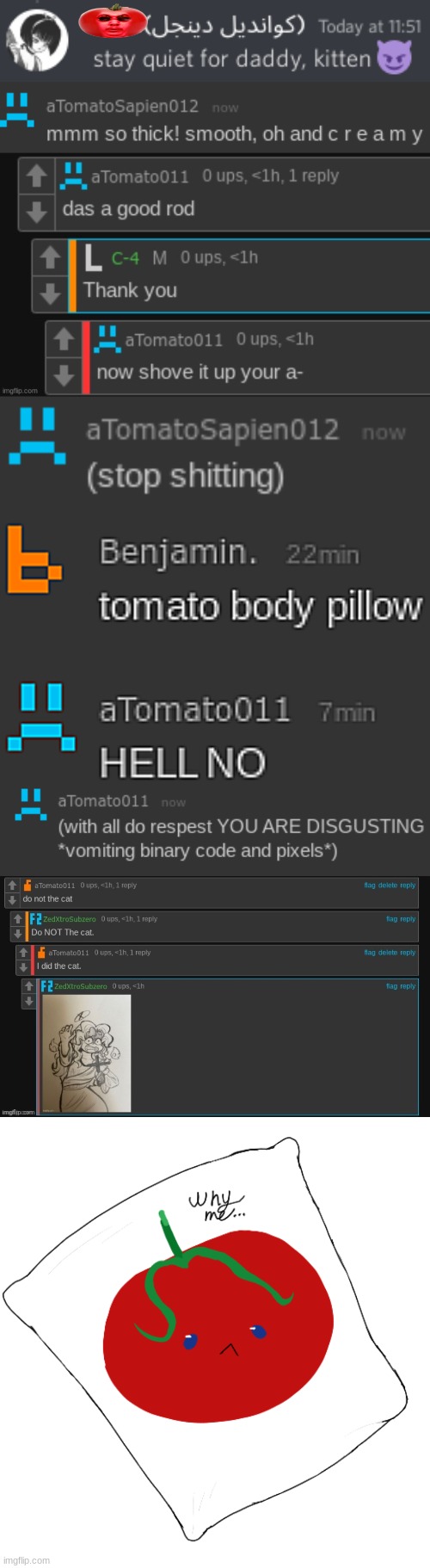 image tagged in stay quiet for daddy kitten,ski ad tomato edition,tomatoes on crack,stop shitting,tomato doesn't want a body pillow | made w/ Imgflip meme maker