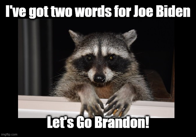 Common Core Math In Play I Guess | I've got two words for Joe Biden; Let's Go Brandon! | image tagged in let's go brandon,common core,new math,joe biden | made w/ Imgflip meme maker