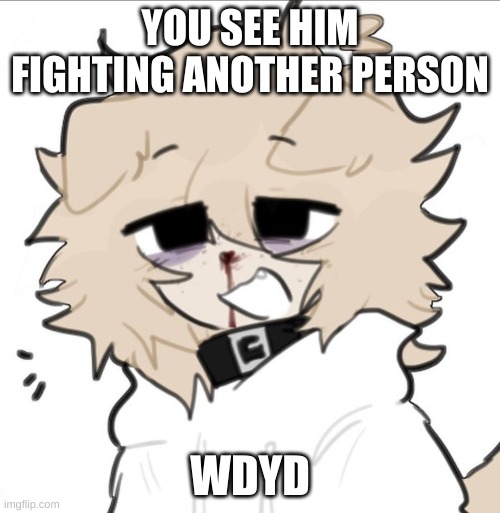 wdyd? (triggerz in desc) | YOU SEE HIM FIGHTING ANOTHER PERSON; WDYD | image tagged in blood,dogs | made w/ Imgflip meme maker