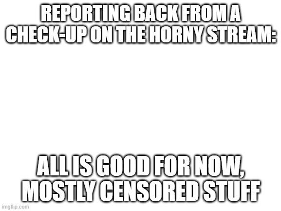 ik its unrelated but im just reporting back | REPORTING BACK FROM A CHECK-UP ON THE HORNY STREAM:; ALL IS GOOD FOR NOW, MOSTLY CENSORED STUFF | image tagged in blank white template | made w/ Imgflip meme maker
