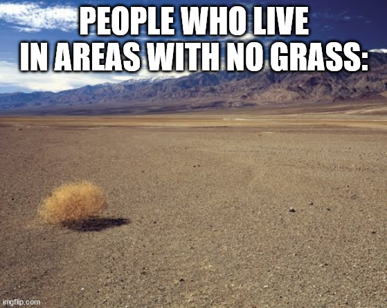 desert tumbleweed | PEOPLE WHO LIVE IN AREAS WITH NO GRASS: | image tagged in desert tumbleweed | made w/ Imgflip meme maker