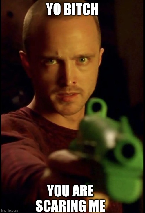Jesse Pinkman holding a gun | YO BITCH YOU ARE SCARING ME | image tagged in jesse pinkman holding a gun | made w/ Imgflip meme maker