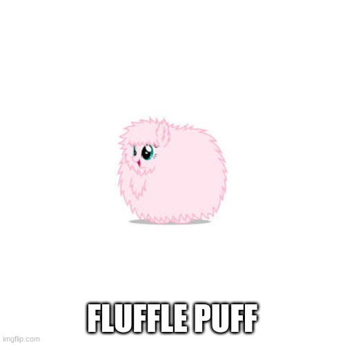 Blank Transparent Square Meme | FLUFFLE PUFF | image tagged in memes,blank transparent square | made w/ Imgflip meme maker