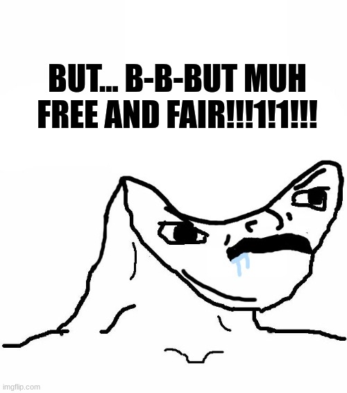 Angry Brainlet  | BUT... B-B-BUT MUH FREE AND FAIR!!!1!1!!! | image tagged in angry brainlet | made w/ Imgflip meme maker