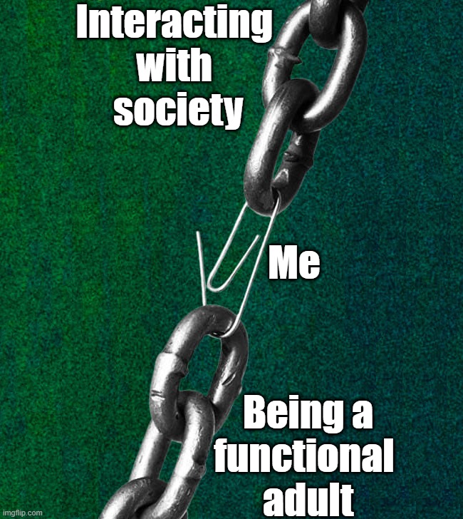 Barely holding things together | Interacting 
with 
society; Me; Being a
functional 
adult | image tagged in barely holding it together | made w/ Imgflip meme maker