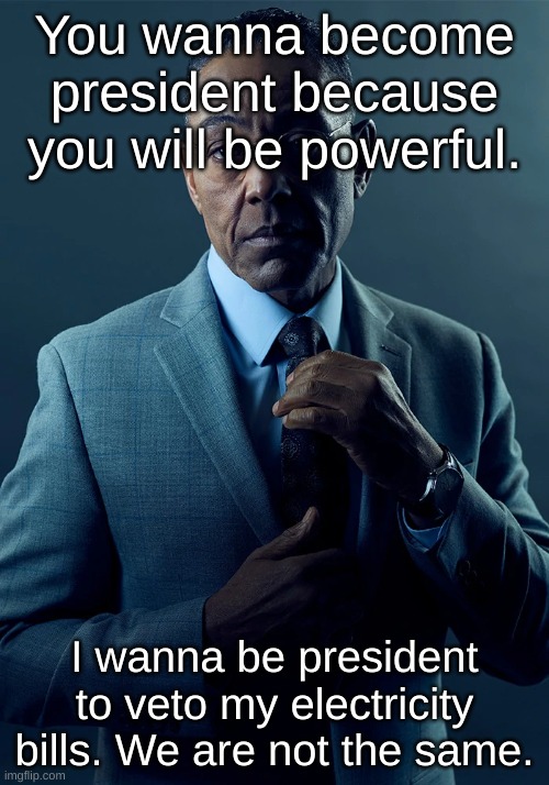We are not the same | You wanna become president because you will be powerful. I wanna be president to veto my electricity bills. We are not the same. | image tagged in we are not the same | made w/ Imgflip meme maker