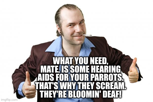 sleazy salesman | WHAT YOU NEED, MATE, IS SOME HEARING AIDS FOR YOUR PARROTS.
THAT'S WHY THEY SCREAM.
THEY'RE BLOOMIN' DEAF! | image tagged in sleazy salesman | made w/ Imgflip meme maker