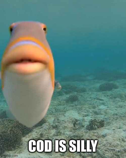 staring fish | COD IS SILLY | image tagged in staring fish | made w/ Imgflip meme maker