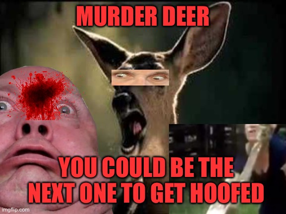  MURDER DEER; YOU COULD BE THE NEXT ONE TO GET HOOFED | image tagged in murder,deer | made w/ Imgflip meme maker