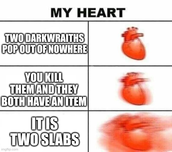 Slabs!!! | TWO DARKWRAITHS POP OUT OF NOWHERE; YOU KILL THEM AND THEY BOTH HAVE AN ITEM; IT IS TWO SLABS | image tagged in my heart blank | made w/ Imgflip meme maker