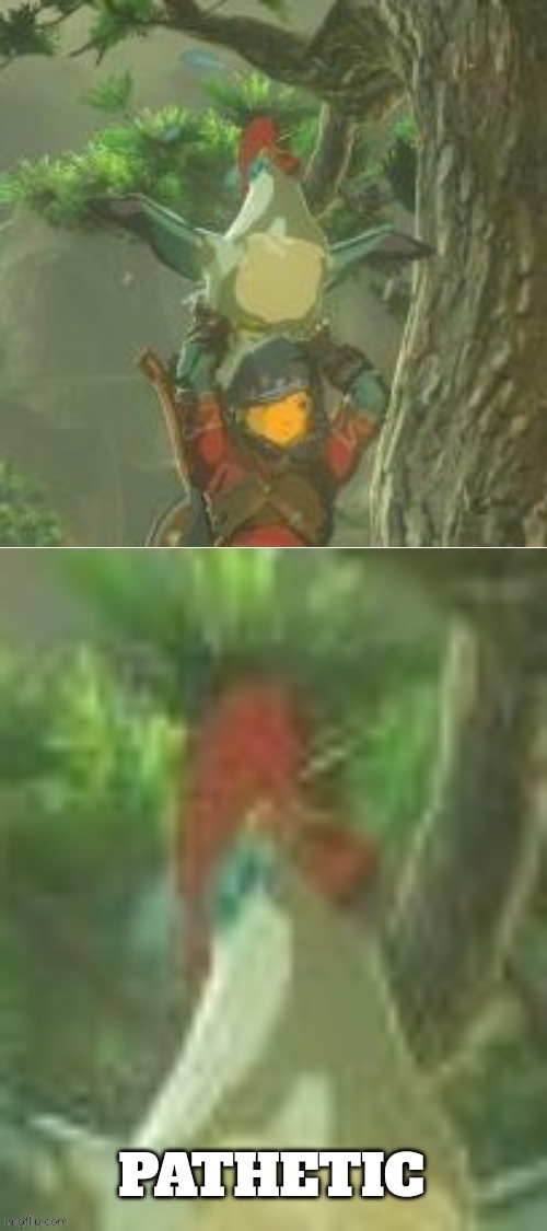 Cucco pathetic | image tagged in cucco pathetic | made w/ Imgflip meme maker