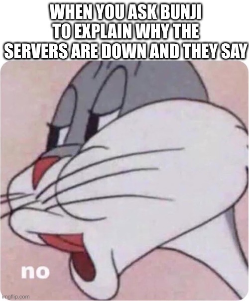 Bunji servers | WHEN YOU ASK BUNJI TO EXPLAIN WHY THE SERVERS ARE DOWN AND THEY SAY | image tagged in bugs bunny no | made w/ Imgflip meme maker