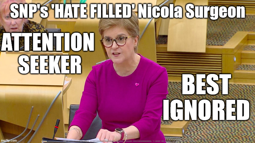 SNP's 'HATE FILLED' Nicola Surgeon | SNP's 'HATE FILLED' Nicola Surgeon; ATTENTION 
SEEKER; BEST
IGNORED; #SNP #NICOLASTURGEON #STURGEON #ATTENTIONSEEKER #BESTIGNORED #INDYREF2 #SCOTLAND #SCOTTISHINDEPENDENCE; "I DETEST THE TORIES"; AND ALL THEY STAND FOR | image tagged in attentionseeker bestignored,sturgeon snp hate,indyref2 scotland scottishindependence,nicola sturgeon,attention seeker | made w/ Imgflip meme maker