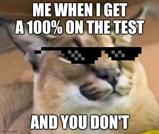 Floppa | ME WHEN I GET A 100% ON THE TEST; AND YOU DON'T | image tagged in floppa | made w/ Imgflip meme maker