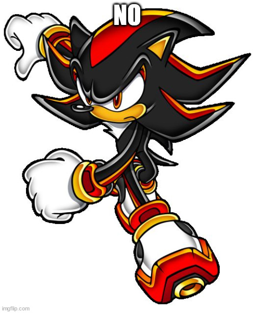 Shadow the hedgehog | NO | image tagged in shadow the hedgehog | made w/ Imgflip meme maker