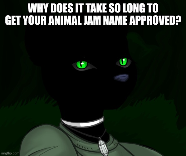 My new panther fursona | WHY DOES IT TAKE SO LONG TO GET YOUR ANIMAL JAM NAME APPROVED? | image tagged in my new panther fursona | made w/ Imgflip meme maker