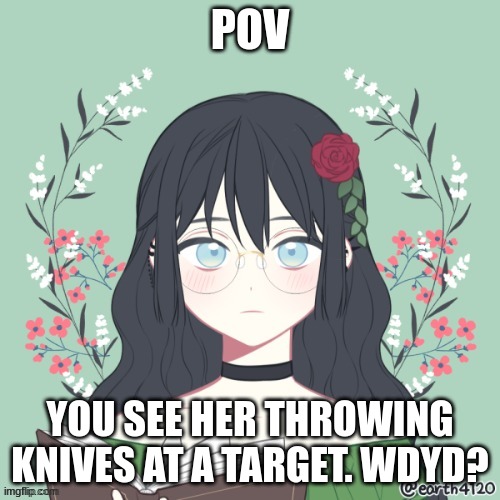 Romance or friendship, No joke or bambi OCs, no ERP, and no military OCs. | POV; YOU SEE HER THROWING KNIVES AT A TARGET. WDYD? | made w/ Imgflip meme maker