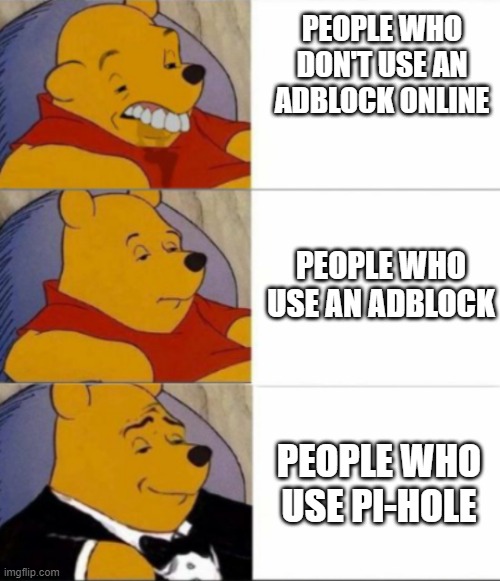 Got to block those ads | PEOPLE WHO DON'T USE AN
ADBLOCK ONLINE; PEOPLE WHO USE AN ADBLOCK; PEOPLE WHO USE PI-HOLE | image tagged in 3 x winnie the pooh,ads,adblock,pc | made w/ Imgflip meme maker