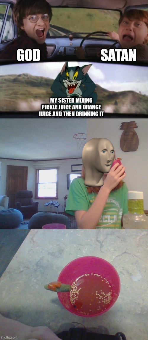 I don't even know what goes on in her head |  SATAN; GOD; MY SISTER MIXING PICKLE JUICE AND ORANGE JUICE AND THEN DRINKING IT | image tagged in tom chasing harry and ron weasly | made w/ Imgflip meme maker