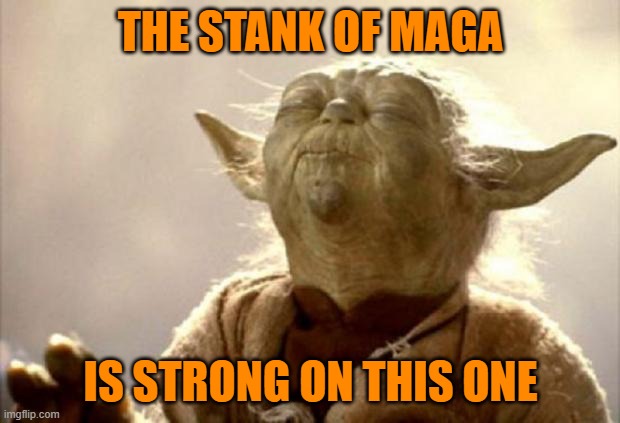 yoda smell | THE STANK OF MAGA IS STRONG ON THIS ONE | image tagged in yoda smell | made w/ Imgflip meme maker