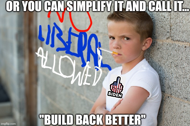 OR YOU CAN SIMPLIFY IT AND CALL IT... "BUILD BACK BETTER" | made w/ Imgflip meme maker