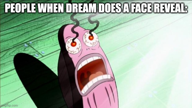 He is a human like the rest of us bruh | PEOPLE WHEN DREAM DOES A FACE REVEAL: | image tagged in spongebob my eyes,dream | made w/ Imgflip meme maker