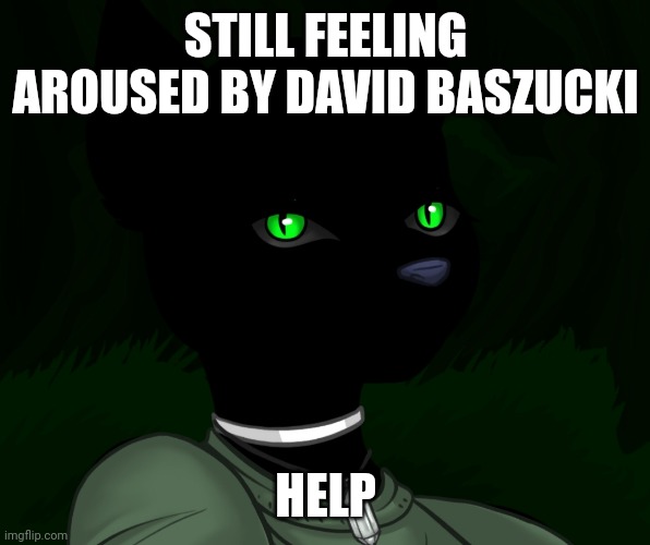 My new panther fursona | STILL FEELING AROUSED BY DAVID BASZUCKI; HELP | image tagged in my new panther fursona | made w/ Imgflip meme maker