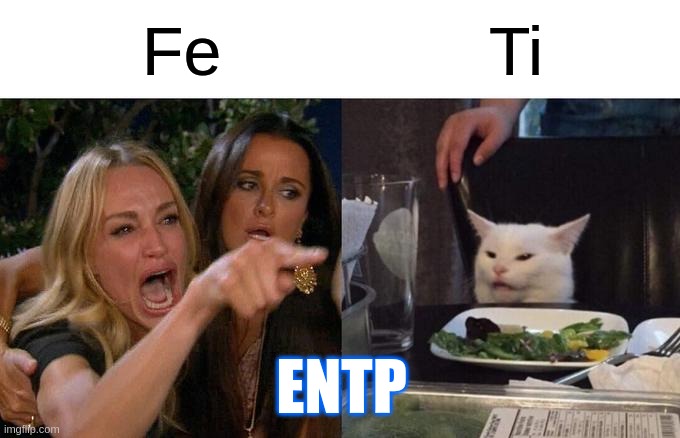 ENTP's Mind after a Conversation | Fe; Ti; ENTP | image tagged in memes,woman yelling at cat,mbti,myers briggs,entp,personality | made w/ Imgflip meme maker