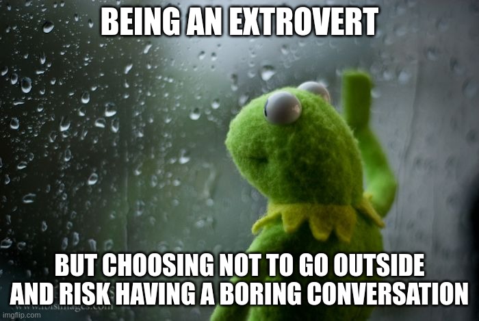 Choosing Introvert Life | BEING AN EXTROVERT; BUT CHOOSING NOT TO GO OUTSIDE AND RISK HAVING A BORING CONVERSATION | image tagged in kermit window,mbti,myers briggs,memes,entp,personality | made w/ Imgflip meme maker