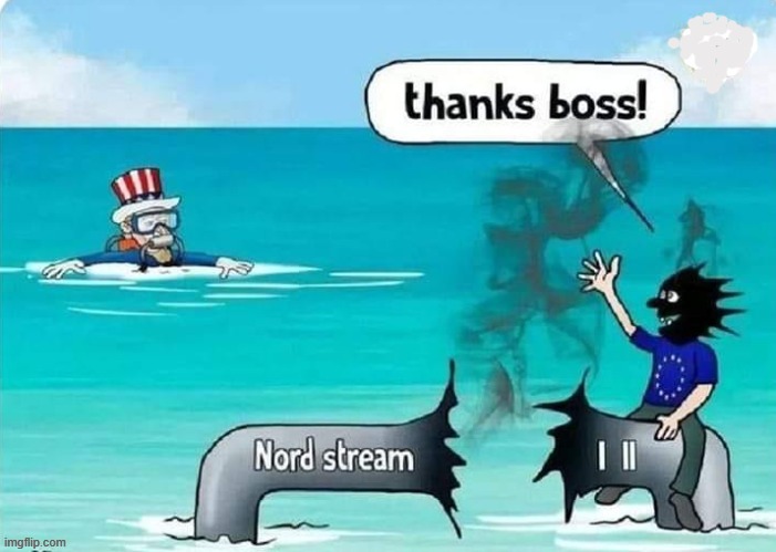 Who dun it ? | image tagged in why would they do this | made w/ Imgflip meme maker