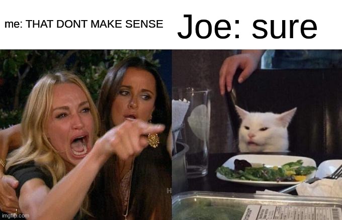 Woman Yelling At Cat Meme | me: THAT DONT MAKE SENSE Joe: sure | image tagged in memes,woman yelling at cat | made w/ Imgflip meme maker