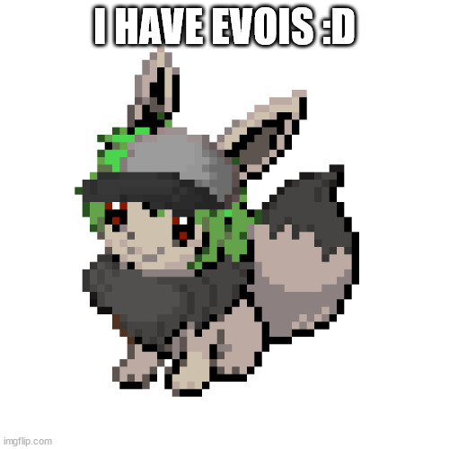 (Mod note: Picrew link: https://picrew.me/image_maker/1357373) | I HAVE EVOIS :D | image tagged in n the eevee | made w/ Imgflip meme maker