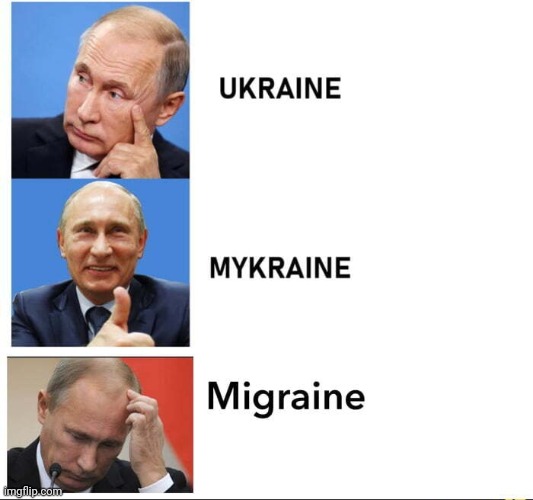 Not made by me | image tagged in ukrainian lives matter,putin facepalm,you fool you fell victim to one of the classic blunders | made w/ Imgflip meme maker