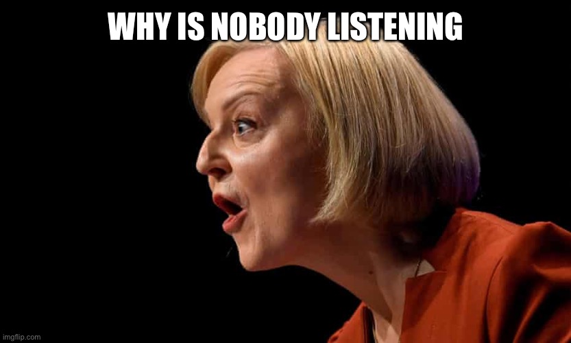 Running out of tricks |  WHY IS NOBODY LISTENING | image tagged in liz truss,listening,russia,ukraine,conservatives,prime minister | made w/ Imgflip meme maker