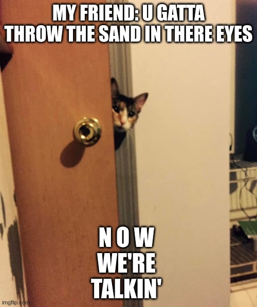 Cat peeking around door | MY FRIEND: U GATTA THROW THE SAND IN THERE EYES; N O W 
WE'RE 
TALKIN' | image tagged in cat peeking around door | made w/ Imgflip meme maker