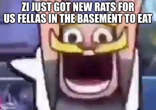 clash royale knight emote | ZI JUST GOT NEW RATS FOR US FELLAS IN THE BASEMENT TO EAT | image tagged in clash royale knight emote | made w/ Imgflip meme maker