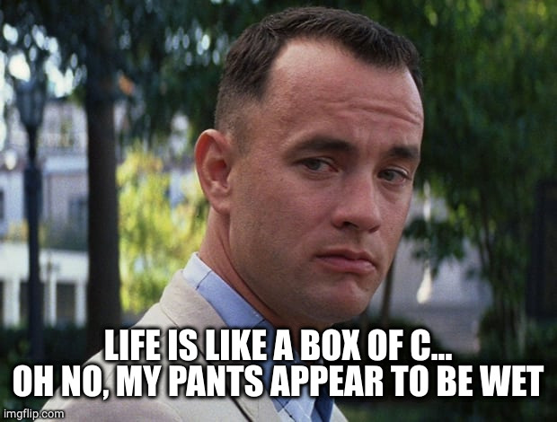 Life is like a box of chocolates | LIFE IS LIKE A BOX OF C... OH NO, MY PANTS APPEAR TO BE WET | image tagged in life is like a box of chocolates | made w/ Imgflip meme maker
